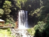IMAG0807